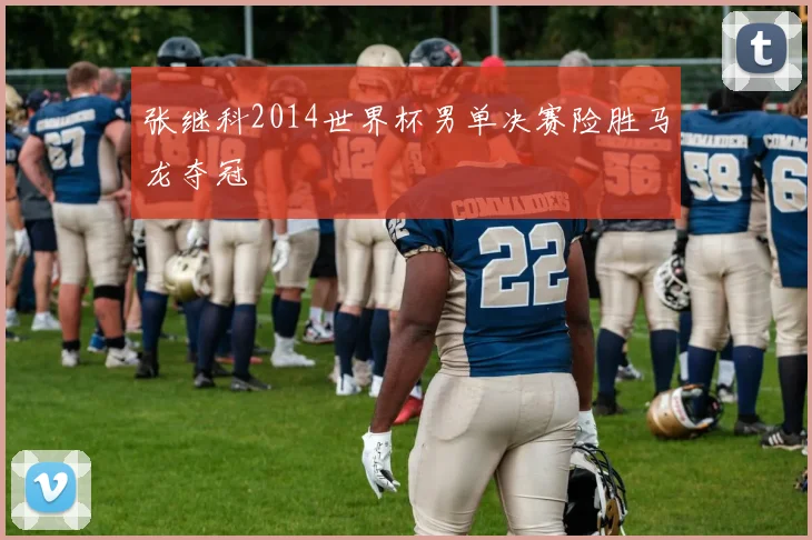 张继科2014世界杯男单决赛险胜马龙夺冠