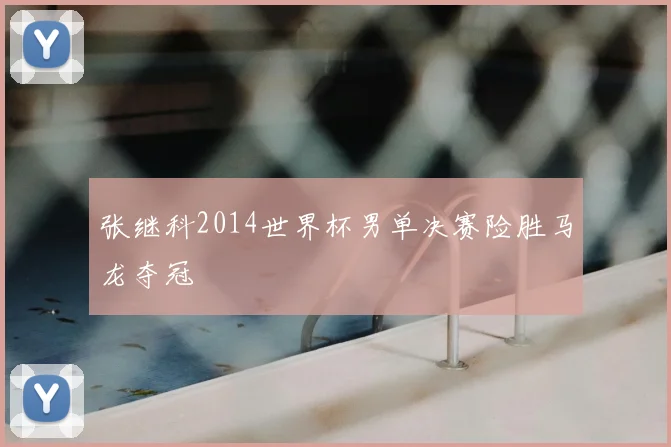 张继科2014世界杯男单决赛险胜马龙夺冠